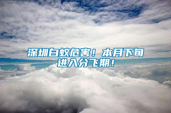 深圳白蟻危害！本月下旬進(jìn)入分飛期！