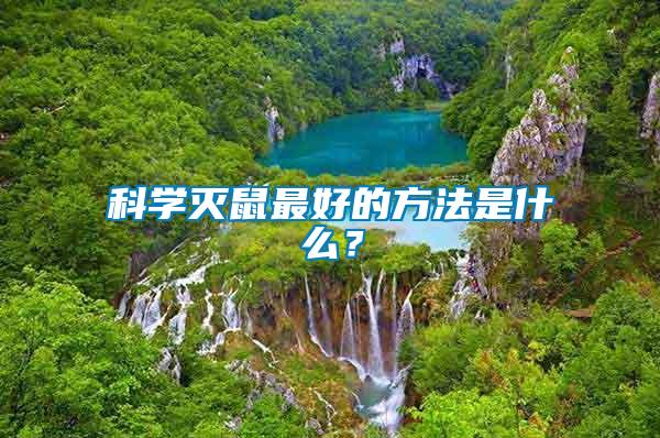 科學(xué)滅鼠最好的方法是什么？