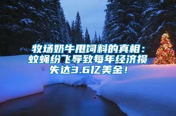 牧場奶牛甩飼料的真相：蚊蠅紛飛導(dǎo)致每年經(jīng)濟(jì)損失達(dá)3.6億美金！
