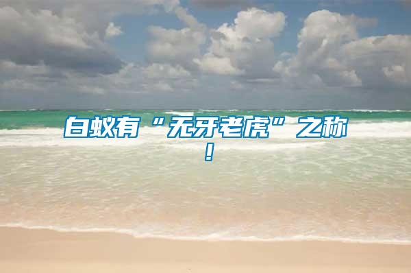 白蟻有“無牙老虎”之稱！