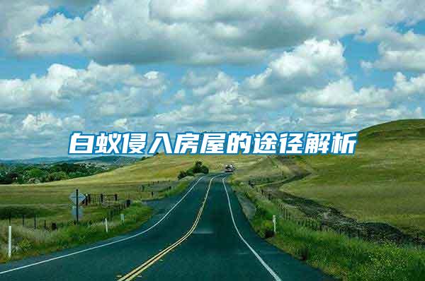 白蟻侵入房屋的途徑解析