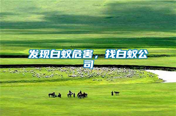 發(fā)現(xiàn)白蟻危害，找白蟻公司