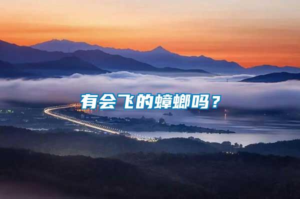 有會(huì)飛的蟑螂嗎？