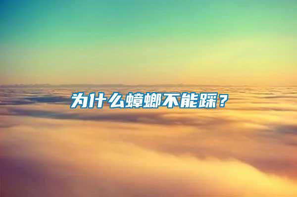 為什么蟑螂不能踩？