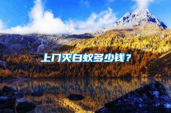 上門滅白蟻多少錢？