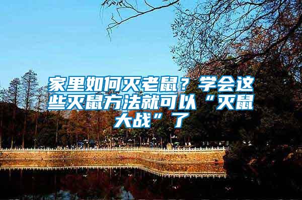 家里如何滅老鼠？學(xué)會(huì)這些滅鼠方法就可以“滅鼠大戰(zhàn)”了
