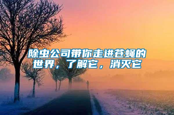 除蟲公司帶你走進蒼蠅的世界，了解它，消滅它