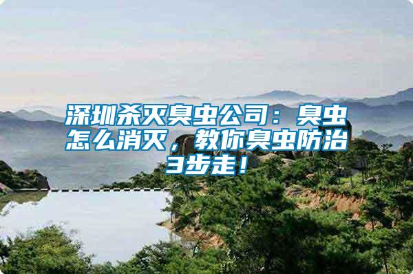 深圳殺滅臭蟲公司：臭蟲怎么消滅，教你臭蟲防治3步走！