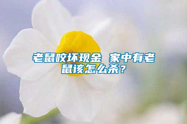 老鼠咬壞現(xiàn)金 家中有老鼠該怎么殺？