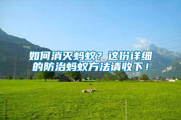 如何消滅螞蟻？這份詳細(xì)的防治螞蟻方法請收下！