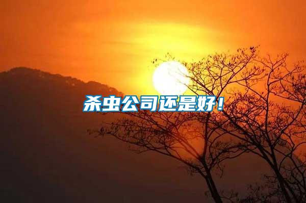 殺蟲(chóng)公司還是好！