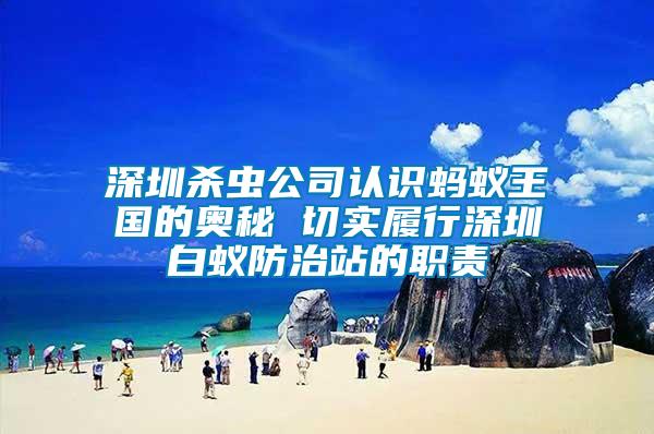 深圳殺蟲公司認(rèn)識螞蟻王國的奧秘 切實(shí)履行深圳白蟻防治站的職責(zé)