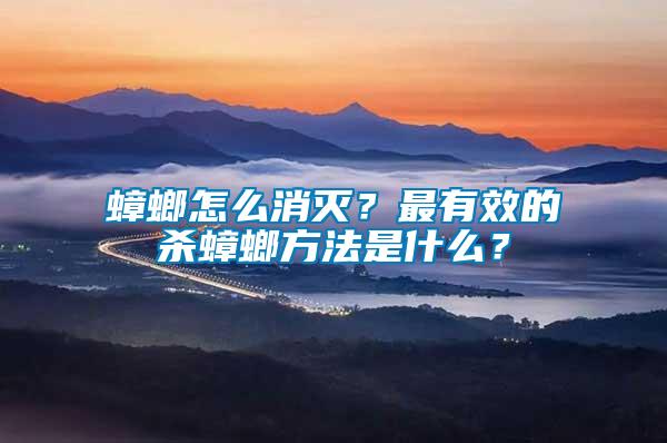 蟑螂怎么消滅？最有效的殺蟑螂方法是什么？