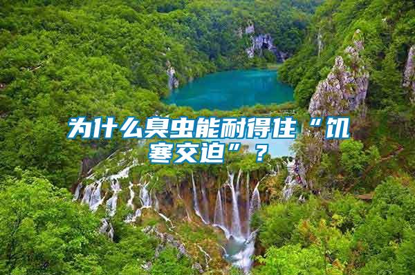 為什么臭蟲能耐得住“饑寒交迫”？