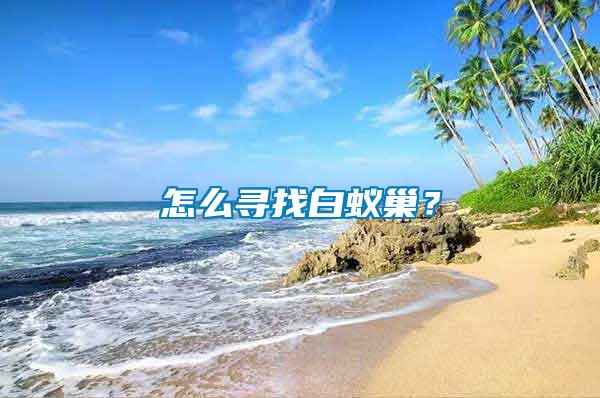 怎么尋找白蟻巢？