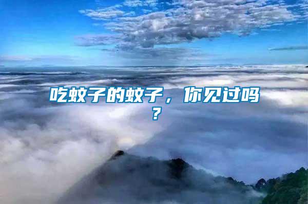 吃蚊子的蚊子，你見過嗎？