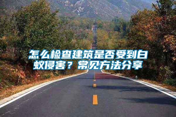 怎么檢查建筑是否受到白蟻侵害？常見(jiàn)方法分享
