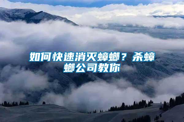 如何快速消滅蟑螂？殺蟑螂公司教你