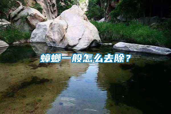 蟑螂一般怎么去除？