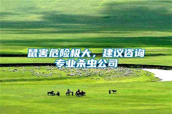 鼠害危險(xiǎn)極大，建議咨詢(xún)專(zhuān)業(yè)殺蟲(chóng)公司