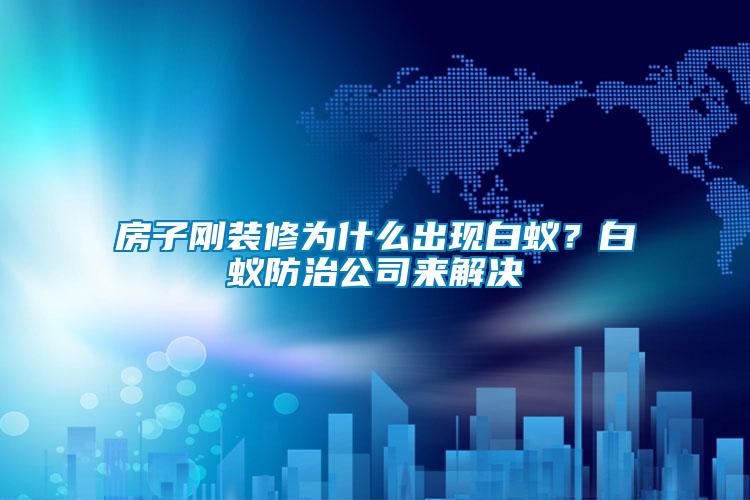房子剛裝修為什么出現(xiàn)白蟻？白蟻防治公司來解決