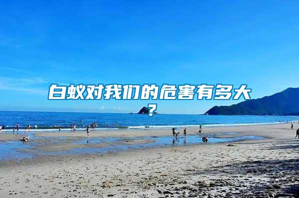 白蟻對我們的危害有多大？