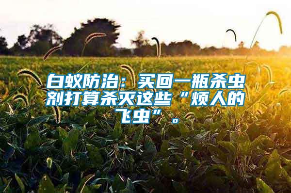 白蟻防治：買回一瓶殺蟲劑打算殺滅這些“煩人的飛蟲”。