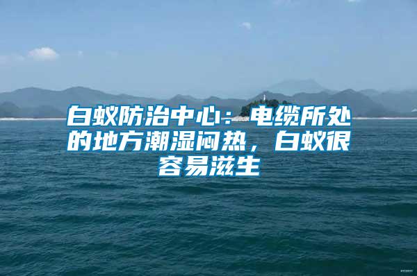 白蟻防治中心：電纜所處的地方潮濕悶熱，白蟻很容易滋生