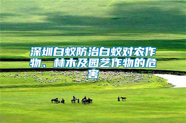 深圳白蟻防治白蟻對農(nóng)作物、林木及園藝作物的危害