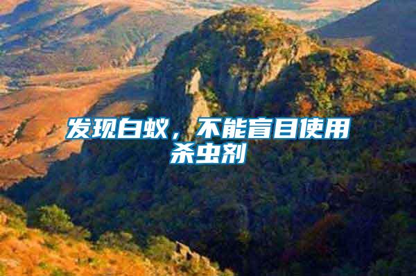 發(fā)現(xiàn)白蟻，不能盲目使用殺蟲劑