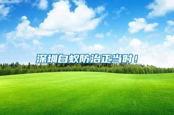 深圳白蟻防治正當(dāng)時！