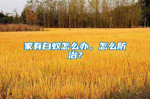 家有白蟻怎么辦，怎么防治？