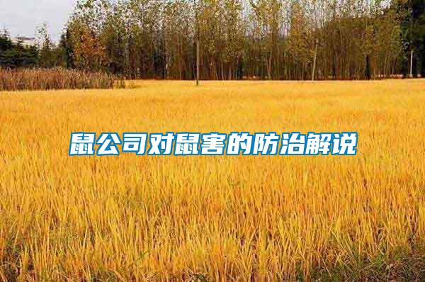鼠公司對(duì)鼠害的防治解說(shuō)