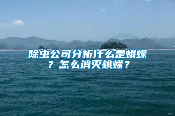 除蟲公司分析什么是蛾蠓？怎么消滅蛾蠓？