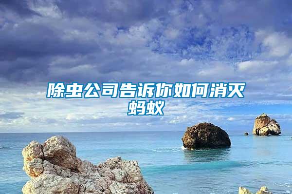 除蟲公司告訴你如何消滅螞蟻