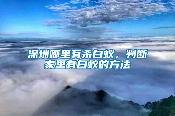 深圳哪里有殺白蟻，判斷家里有白蟻的方法