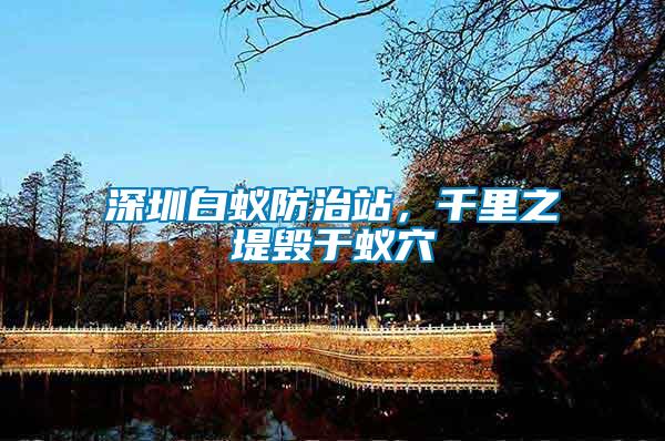 深圳白蟻防治站，千里之堤毀于蟻穴