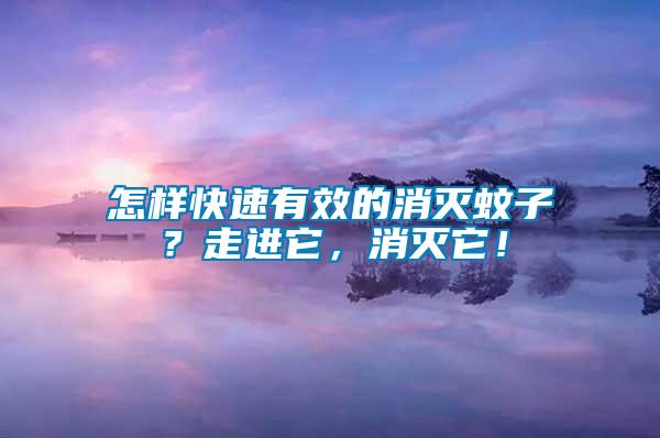 怎樣快速有效的消滅蚊子？走進它，消滅它！