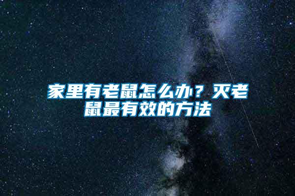家里有老鼠怎么辦？滅老鼠最有效的方法
