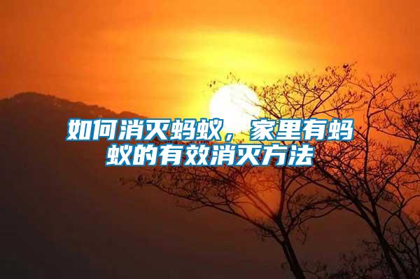 如何消滅螞蟻，家里有螞蟻的有效消滅方法
