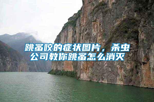 跳蚤咬的癥狀圖片，殺蟲公司教你跳蚤怎么消滅