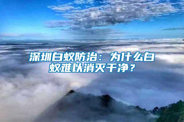 深圳白蟻防治：為什么白蟻難以消滅干凈？