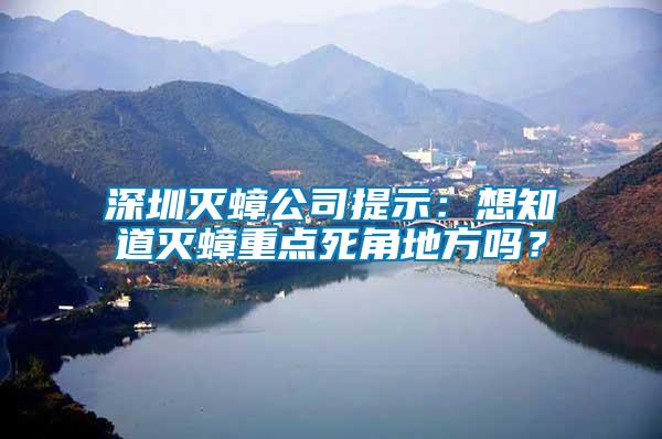 深圳滅蟑公司提示：想知道滅蟑重點(diǎn)死角地方嗎？