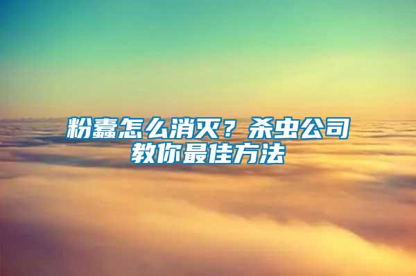 粉蠹怎么消滅？殺蟲公司教你最佳方法