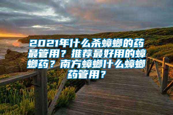 2021年什么殺蟑螂的藥最管用？推薦最好用的蟑螂藥？南方蟑螂什么蟑螂藥管用？