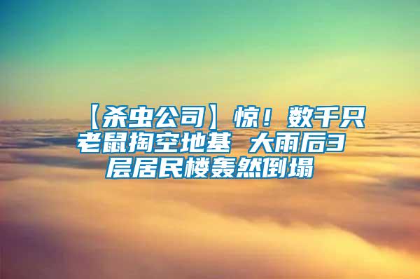【殺蟲公司】驚！數(shù)千只老鼠掏空地基 大雨后3層居民樓轟然倒塌