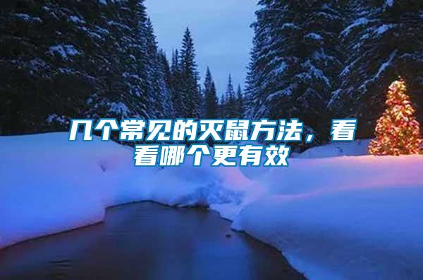 幾個常見的滅鼠方法，看看哪個更有效