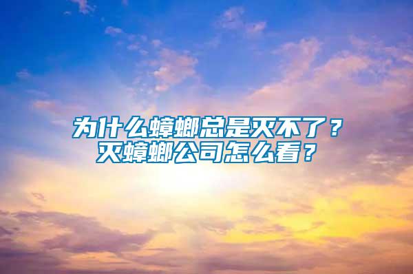 為什么蟑螂總是滅不了？滅蟑螂公司怎么看？
