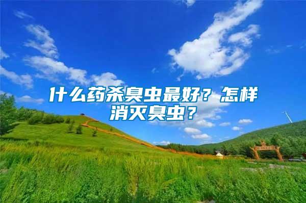 什么藥殺臭蟲最好？怎樣消滅臭蟲？