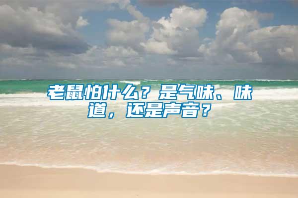 老鼠怕什么？是氣味、味道，還是聲音？